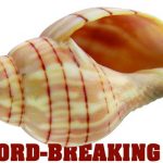 article image -